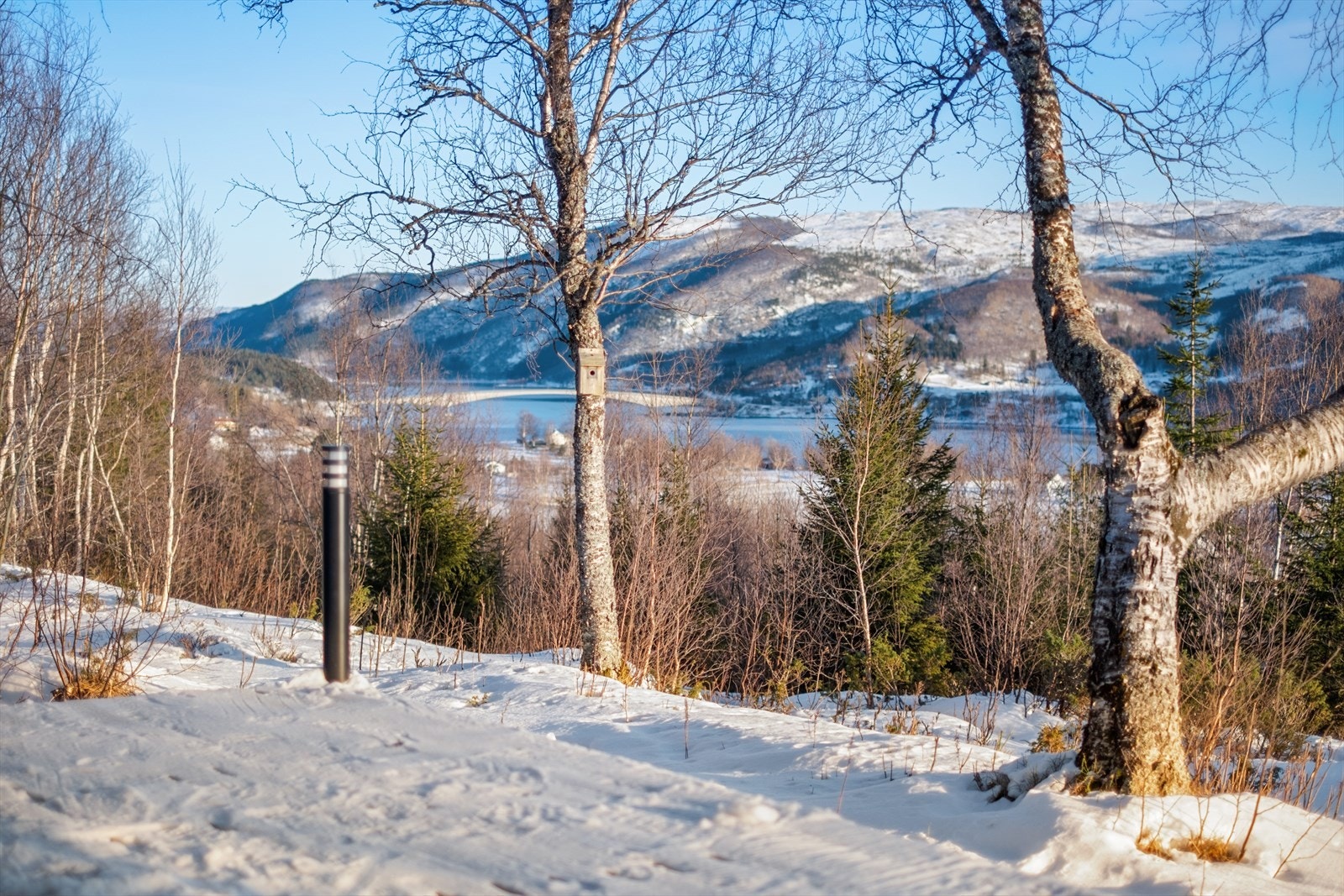 Hytten har fantastisk utsikt utover fjord og fjell Galleribilde