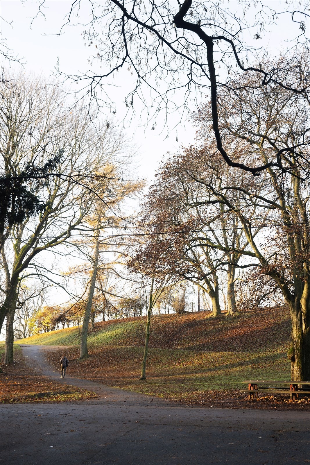 Stensparken ligger rett utenfor døren, via passasje rett over gaten. I tillegg er det gangavstand til Idioten og St. Hanshaugen park. Galleribilde