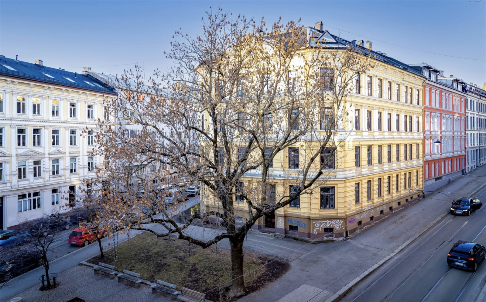 Fritt og hyggelig utsyn fra stuen mot Margrethe Munthes plass, hvor det frodige treet gir et grønt og levende preg om sommeren og lyssettes om vinteren. Galleribilde