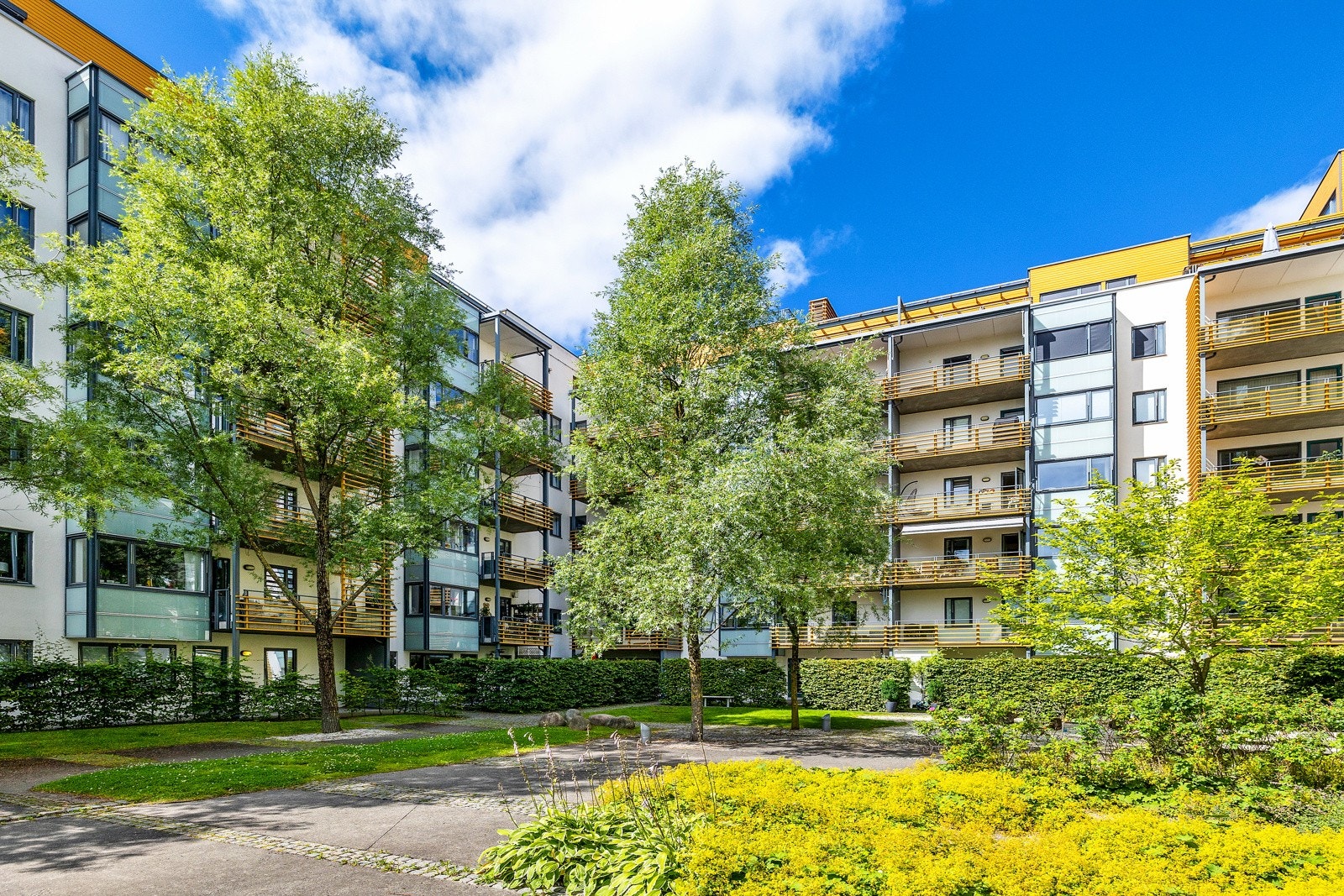 Sameiet felles bakgård på sommertid. Galleribilde