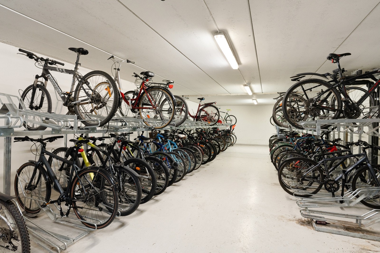 Felles sykkelbod. Galleribilde