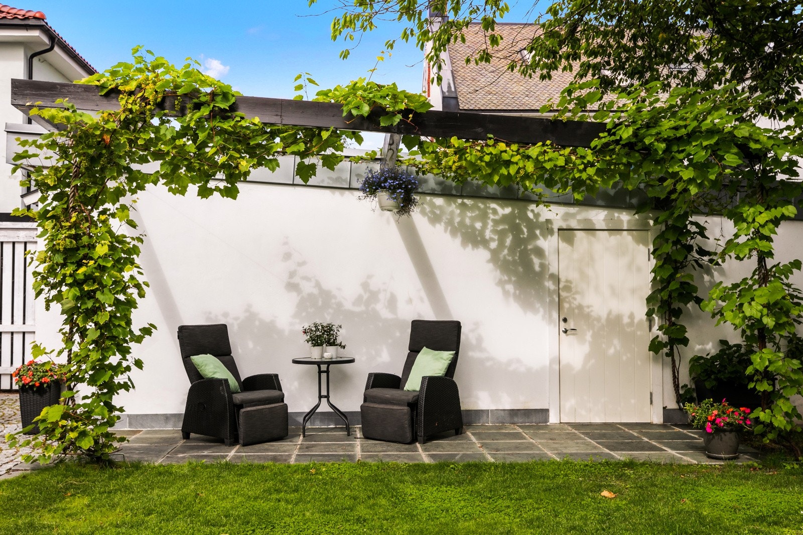 Drueplanter som slynger seg over en vakker uteplass Galleribilde