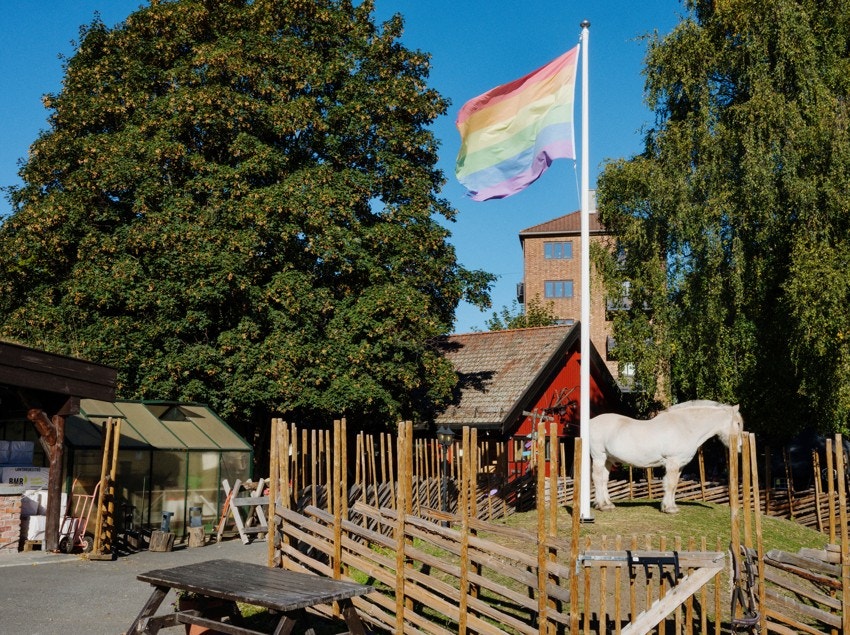 Her finner du også en egen økologisk barnebondegård med bålpanne og vaffelbod. Galleribilde