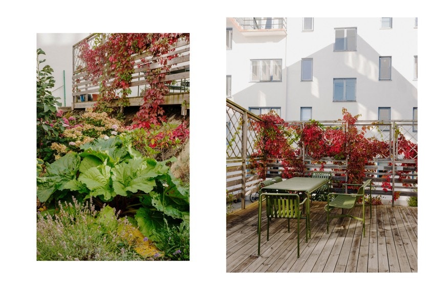 På høsten blir bakgården en virkelig fargefest! Galleribilde