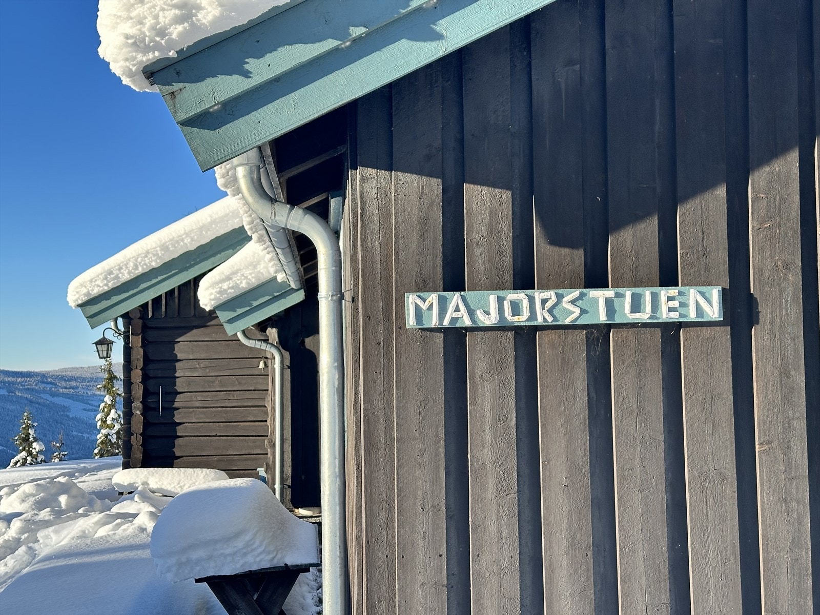 Selgernes private vinterbilde Galleribilde