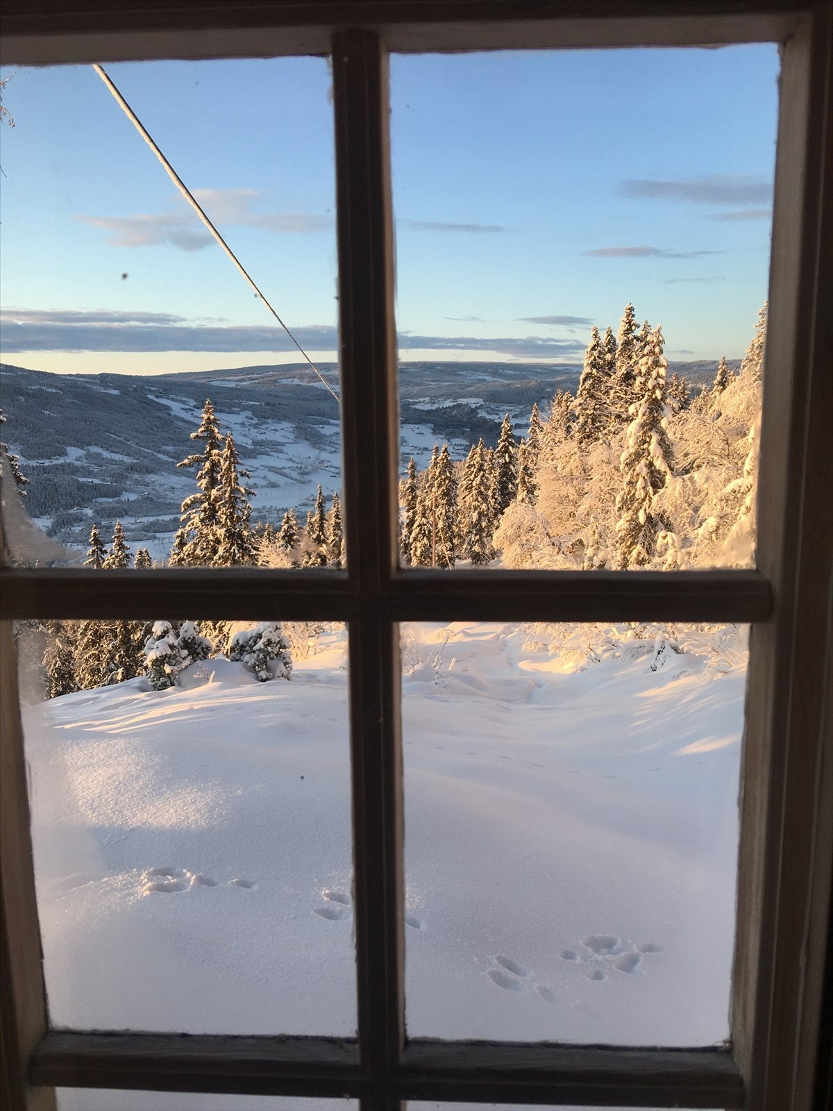 Selgernes private vinterbilde Galleribilde