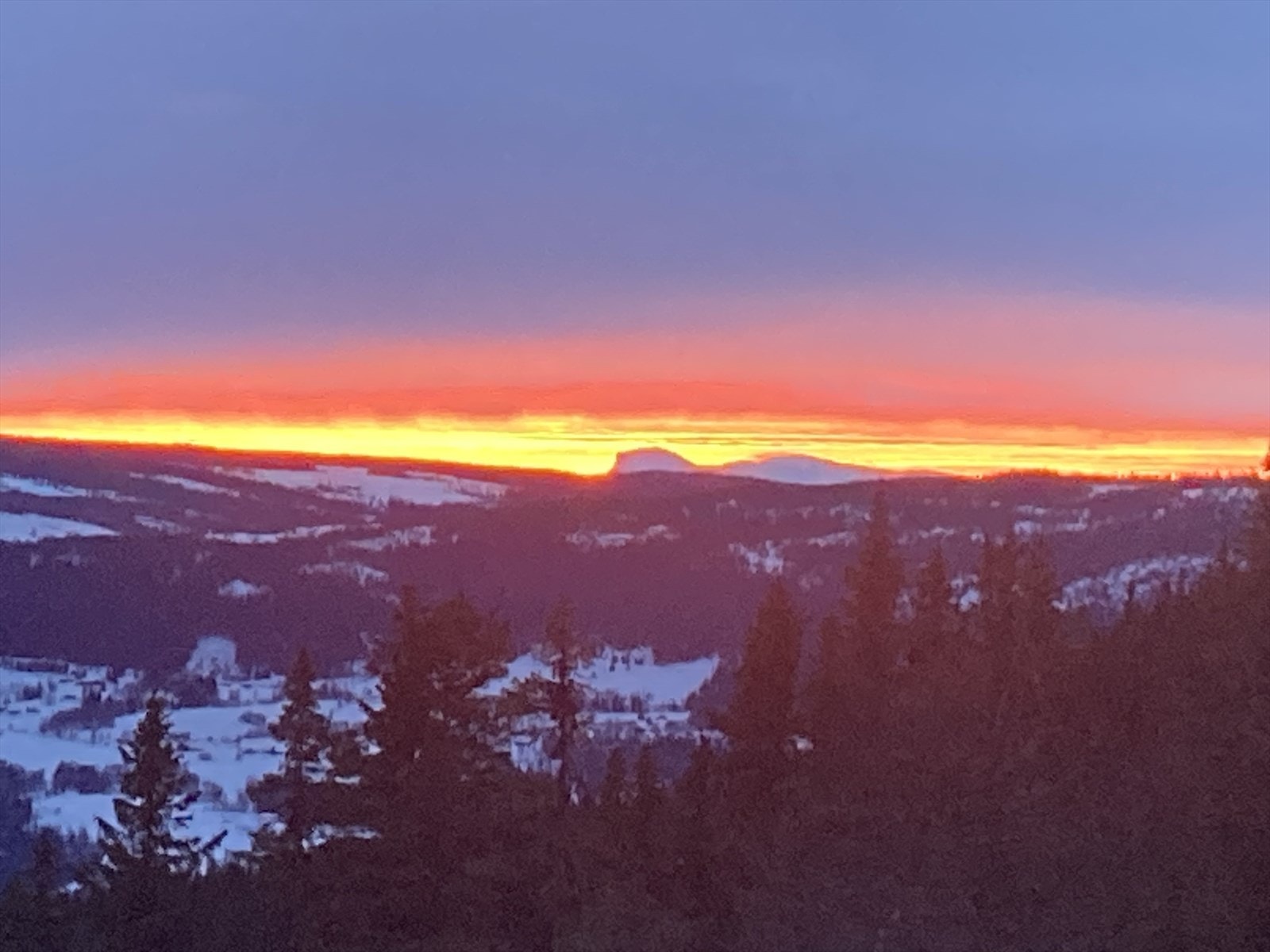 Selgernes private vinterbilde Galleribilde