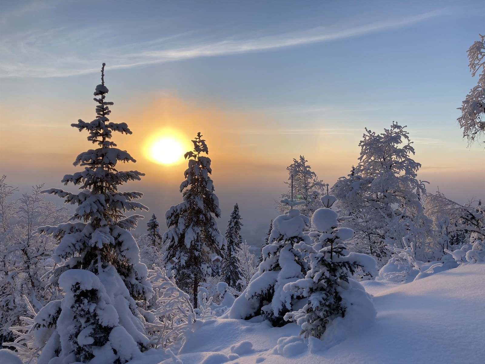 Selgernes private vinterbilde Galleribilde