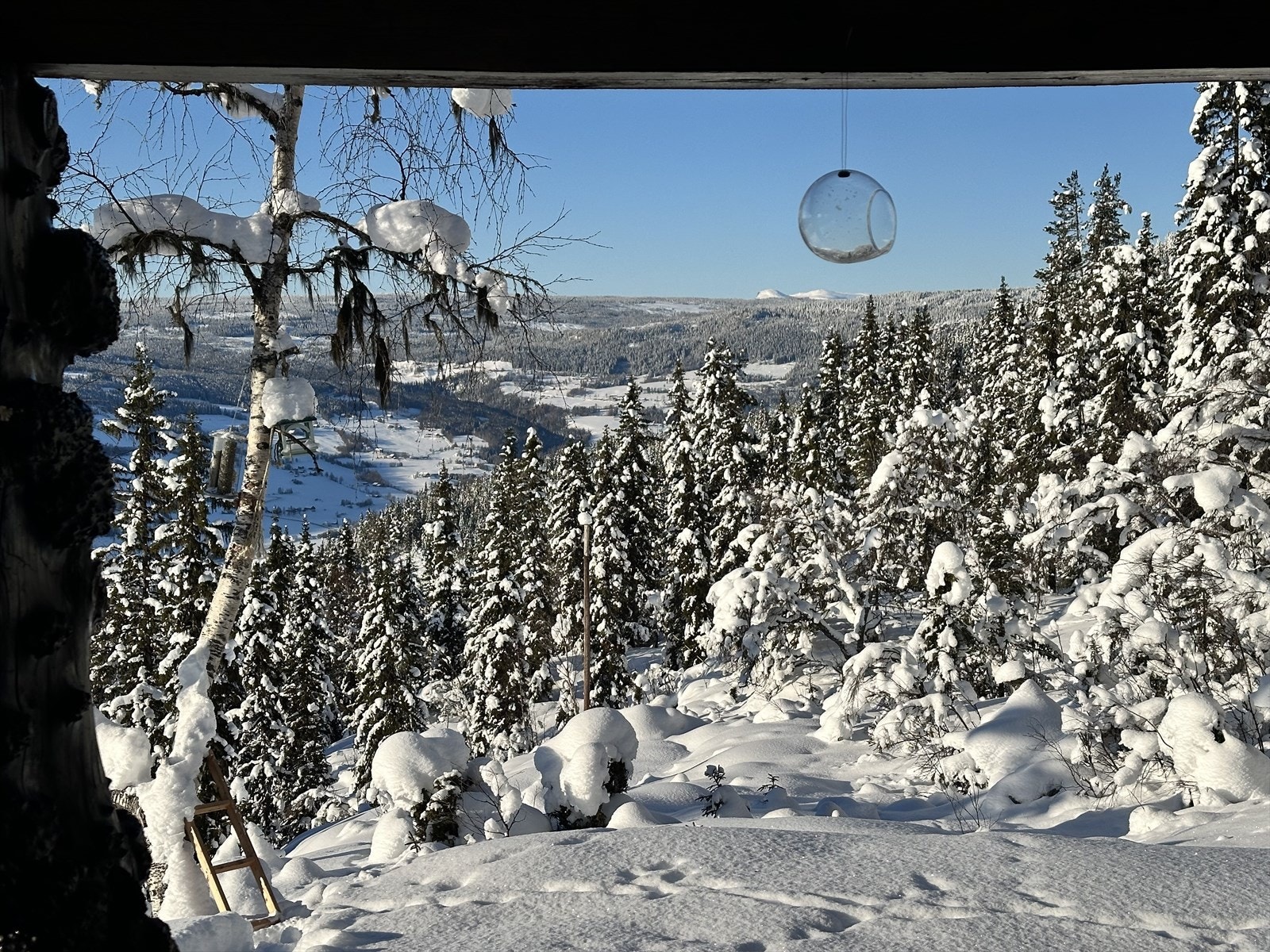 Selgernes private vinterbilde Galleribilde