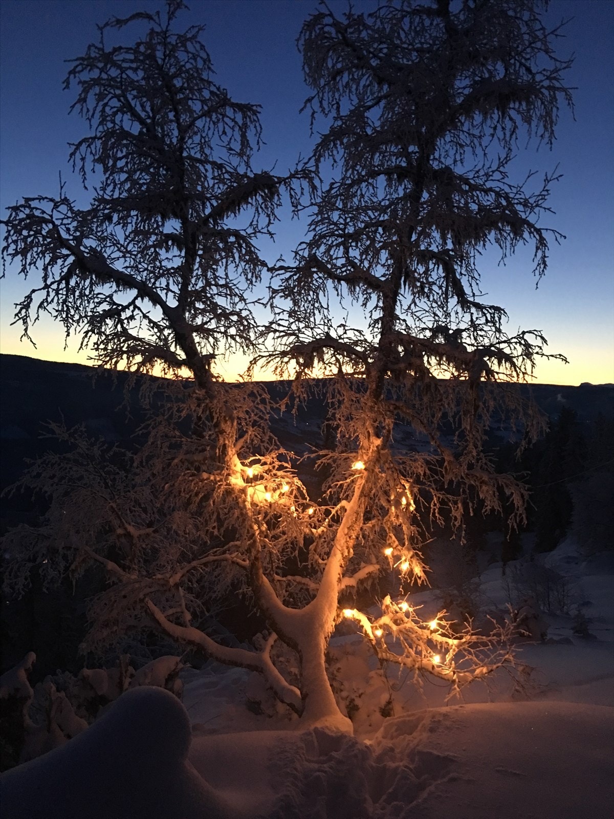 Selgernes private vinterbilde Galleribilde