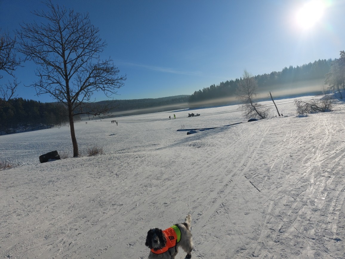 Ved Nøklevann er det skiløyper og skøytebane som måkes og vedlikeholdes av bymiljøetaten. Det er også mulig å leie kanoer ved Nøklevann. Galleribilde