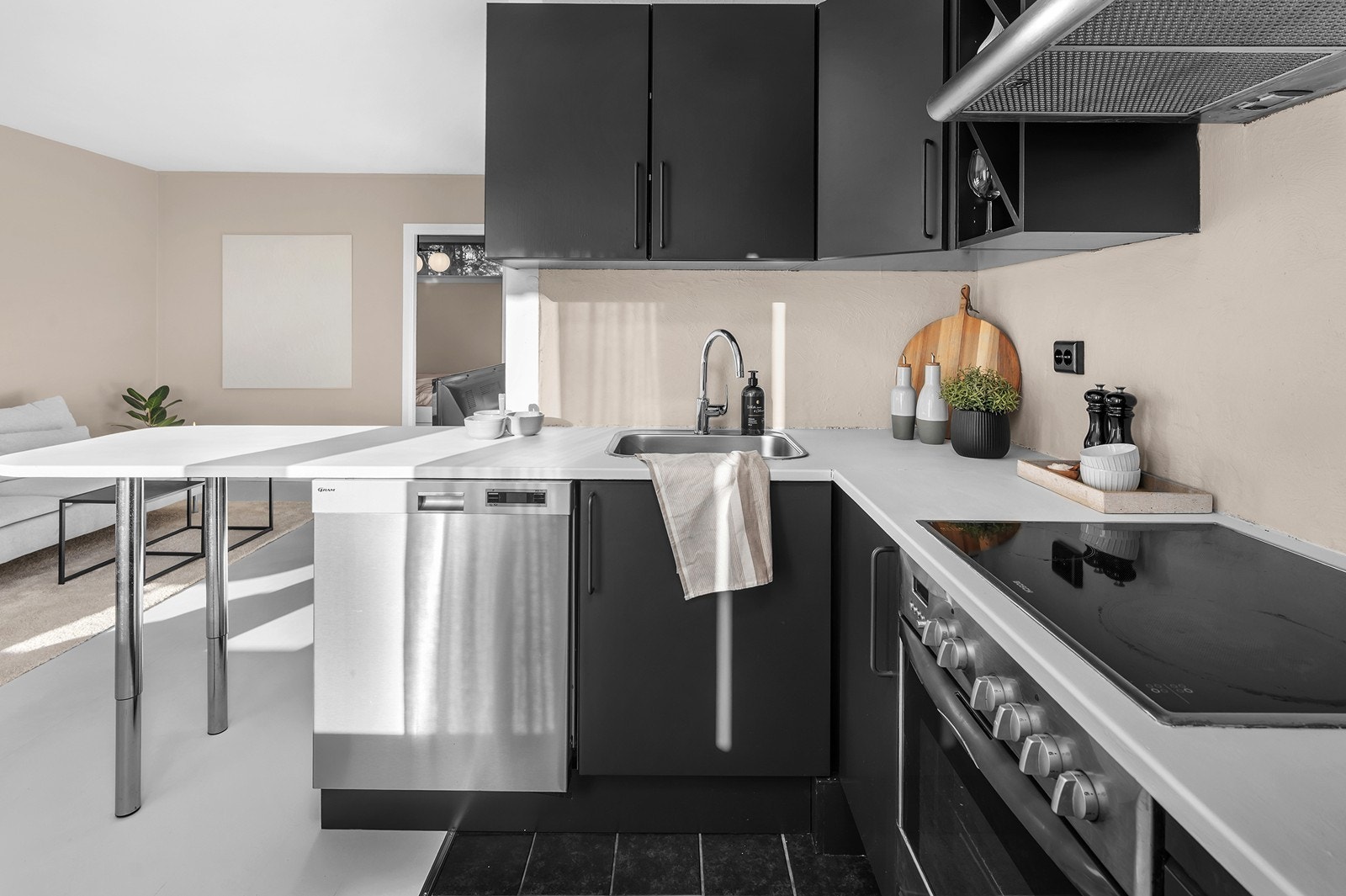 Nyere kjøkkenbenk og oppvaskmaskin. Galleribilde