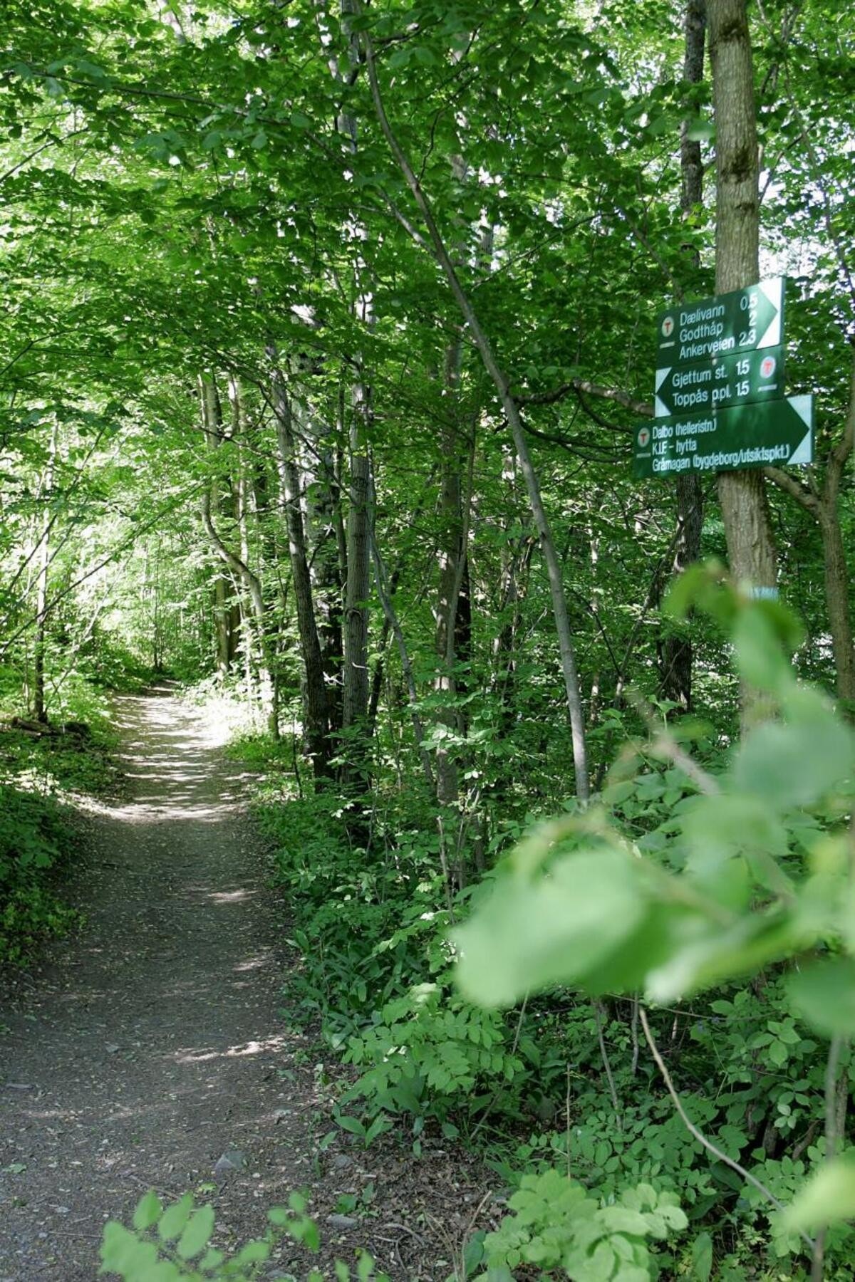 Fine turstier starter "rett utenfor døren" Galleribilde