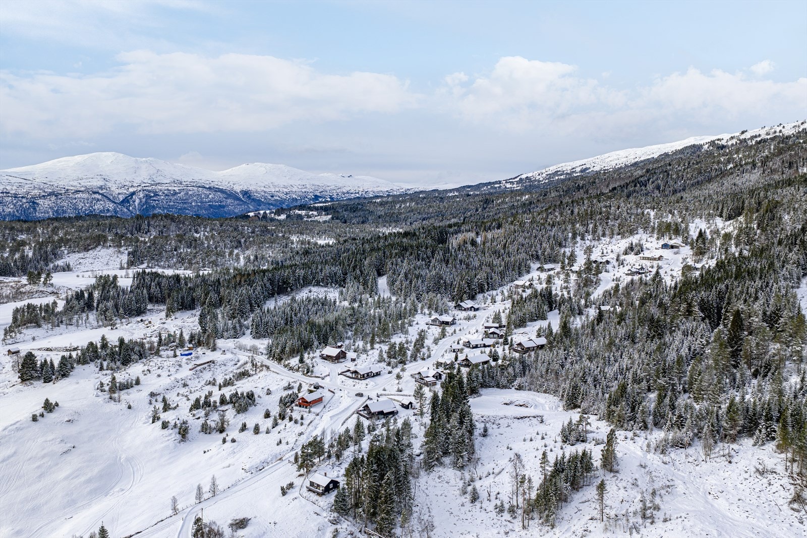 Velkommen til en hyggelig visning! Galleribilde