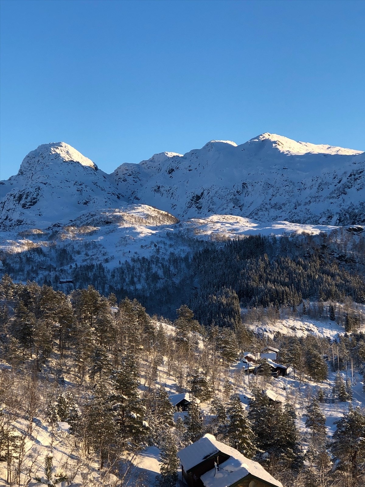 - Bilde fra selger - Galleribilde