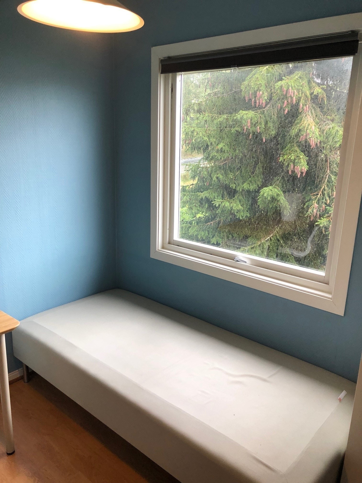 Hybel (rom 1) Galleribilde