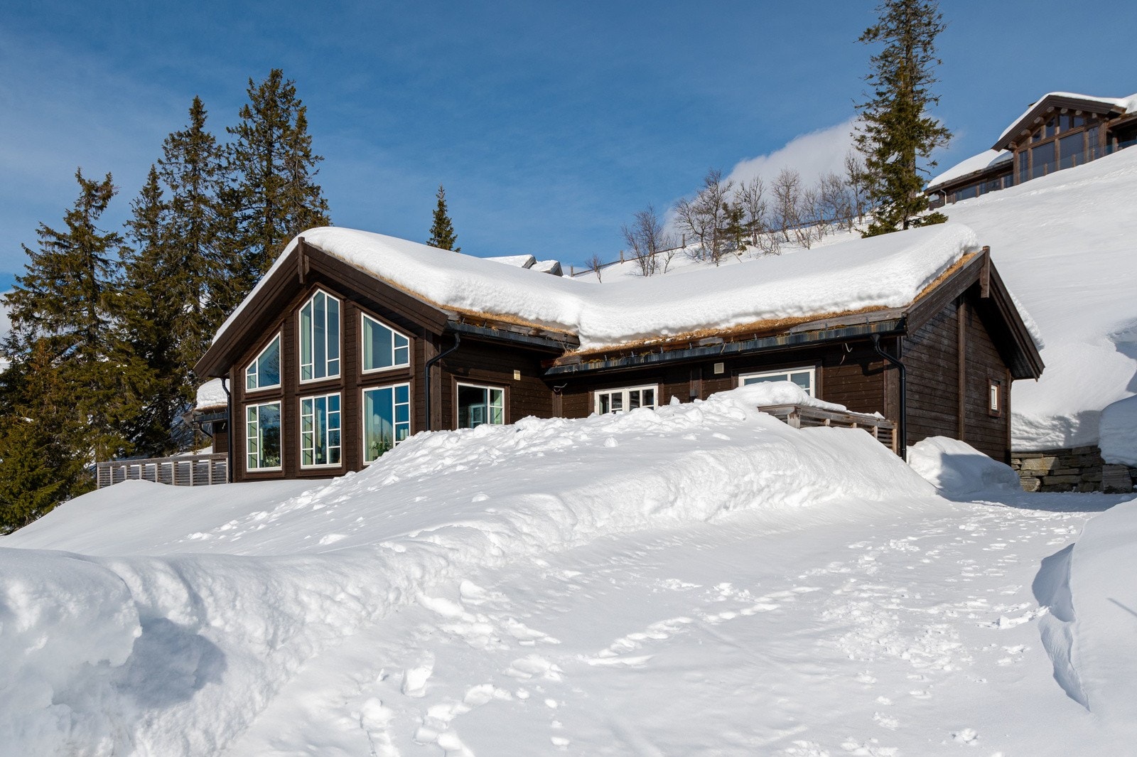 DSC_4946 Galleribilde