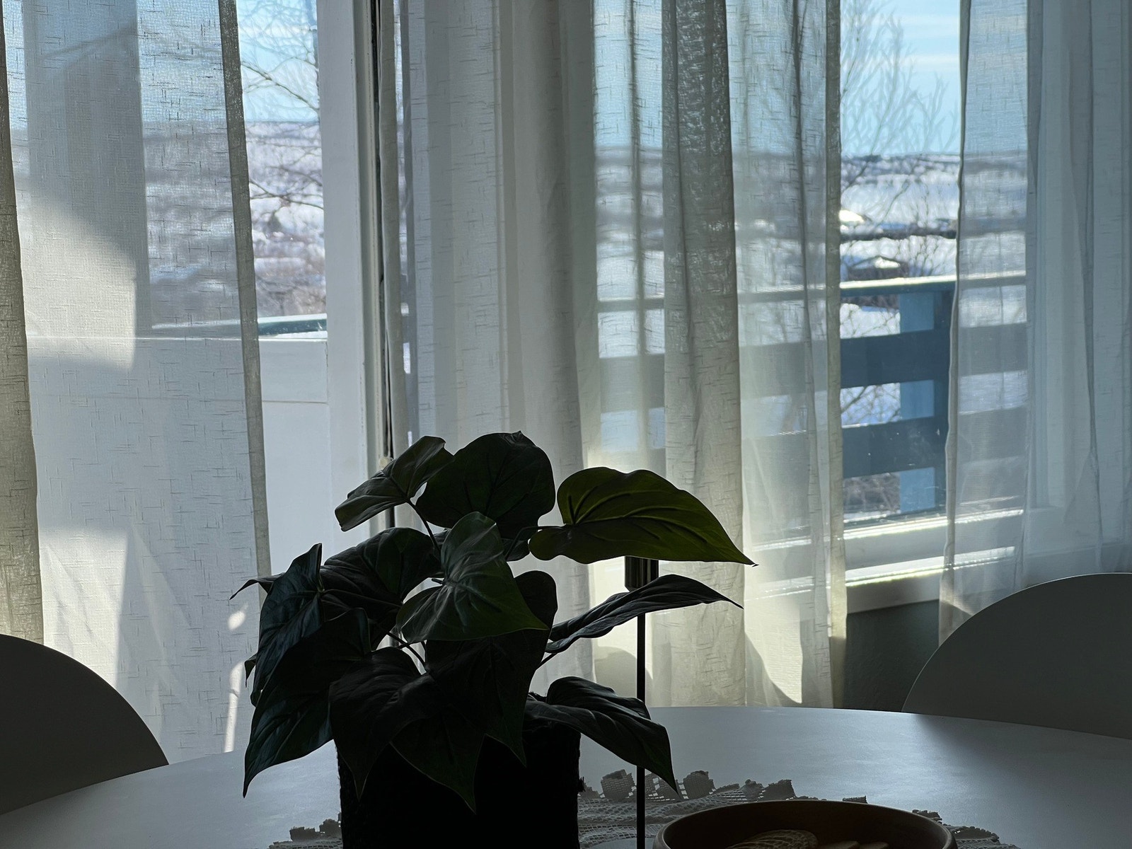 Bildet tatt 2023 Galleribilde