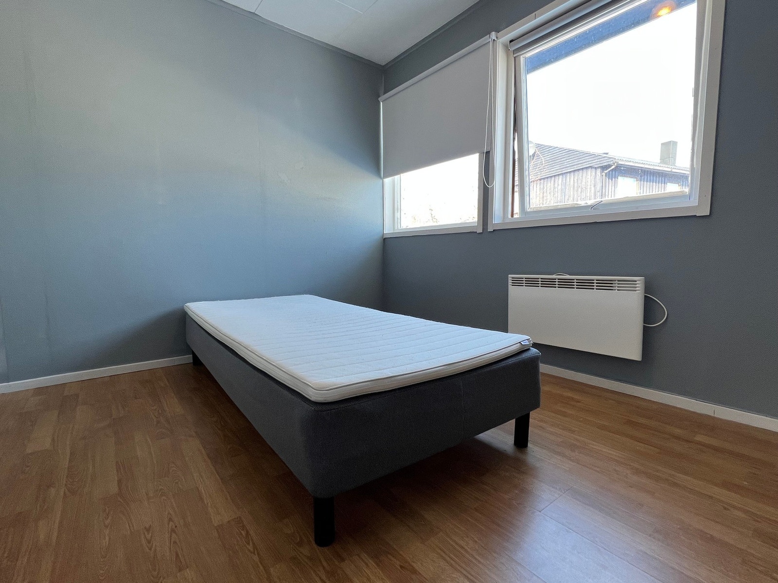 Bildet tatt 2023 Galleribilde