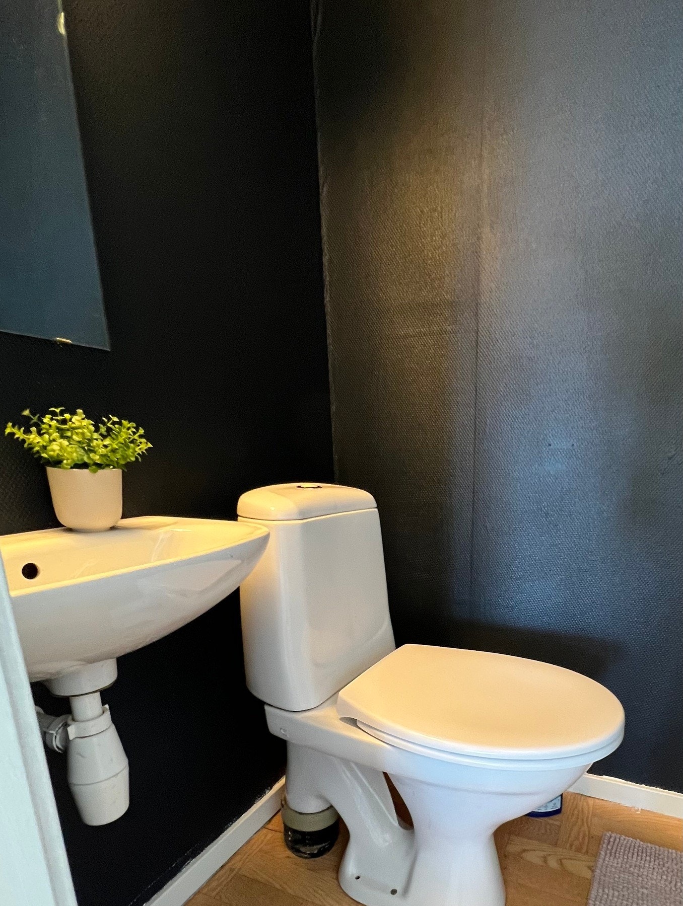 Bildet tatt 2023 Galleribilde