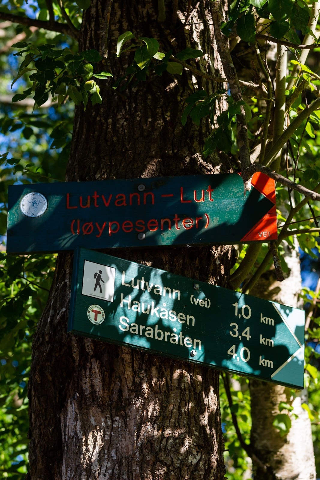 Turstier er godt merket, med ruter til blant annet Lutvann, Haukåsen og Sarabråten. Galleribilde