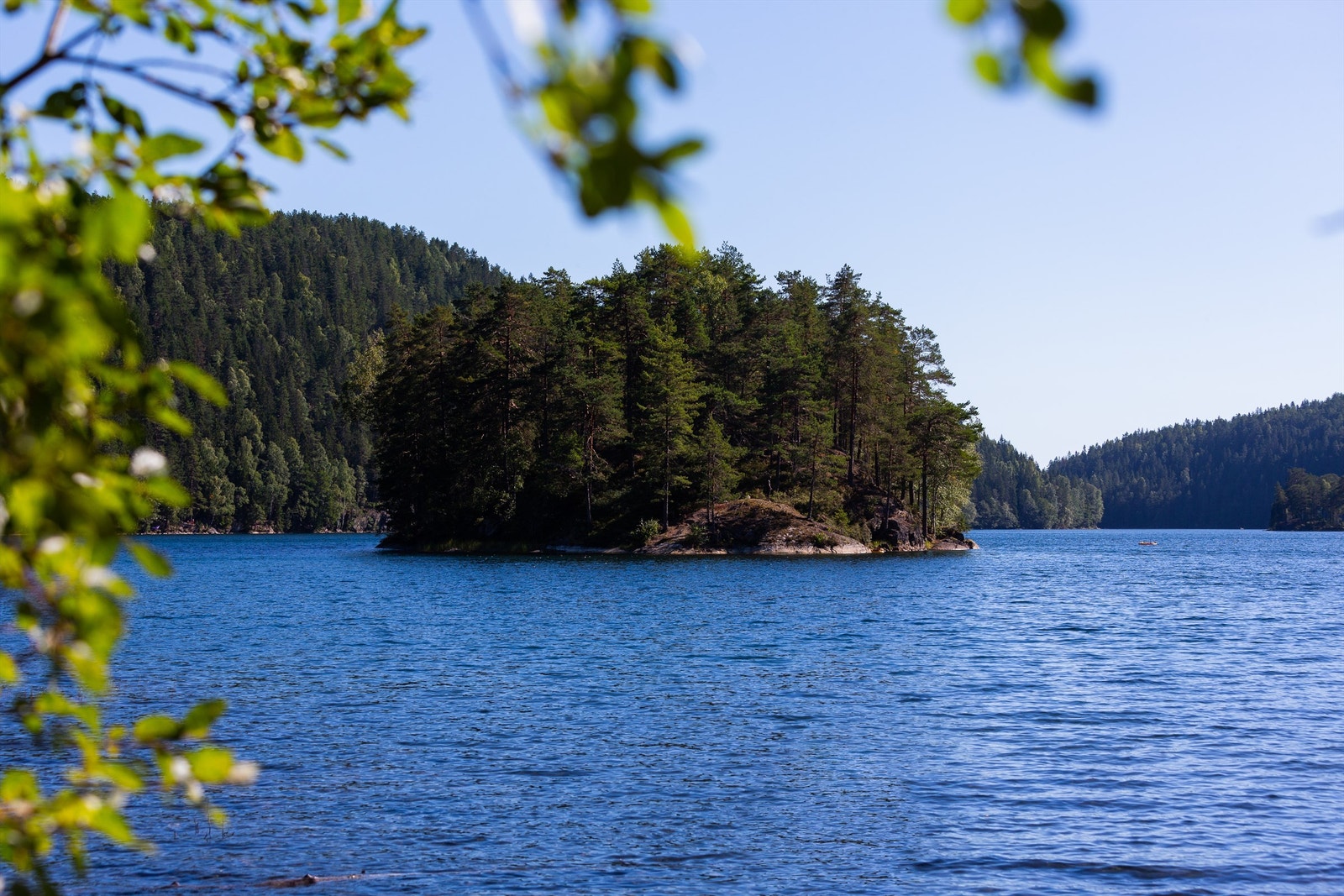 Kort vei til Lutvann, som byr på flotte bade- og turmuligheter. Galleribilde