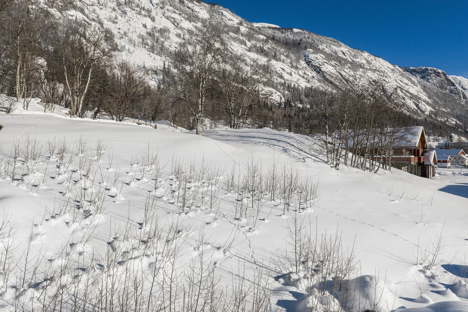 Fri utsikt mot nordøst Galleribilde