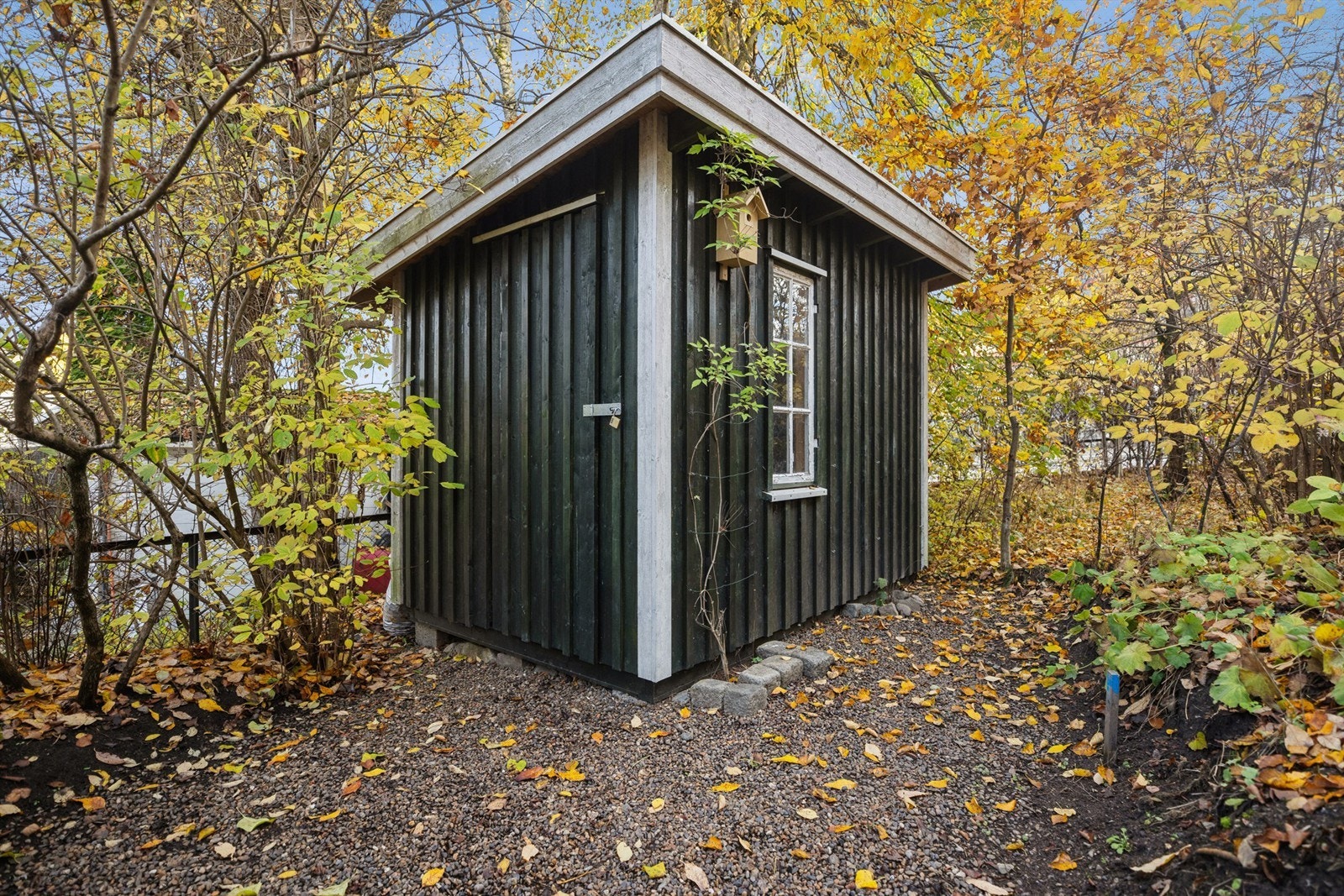 Direkte adkomst fra terrassen til hagen, hvor du finner en praktisk redskapsbod. Galleribilde