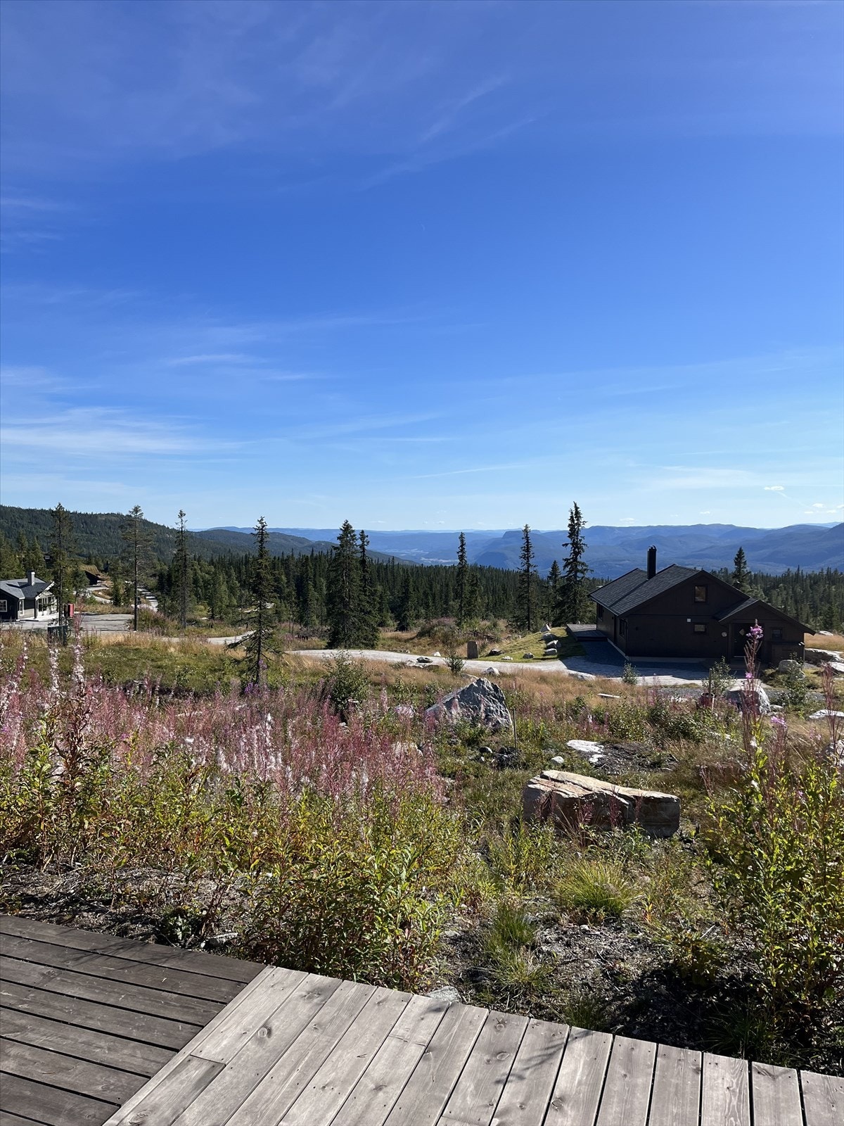 Selgers bilde. Galleribilde