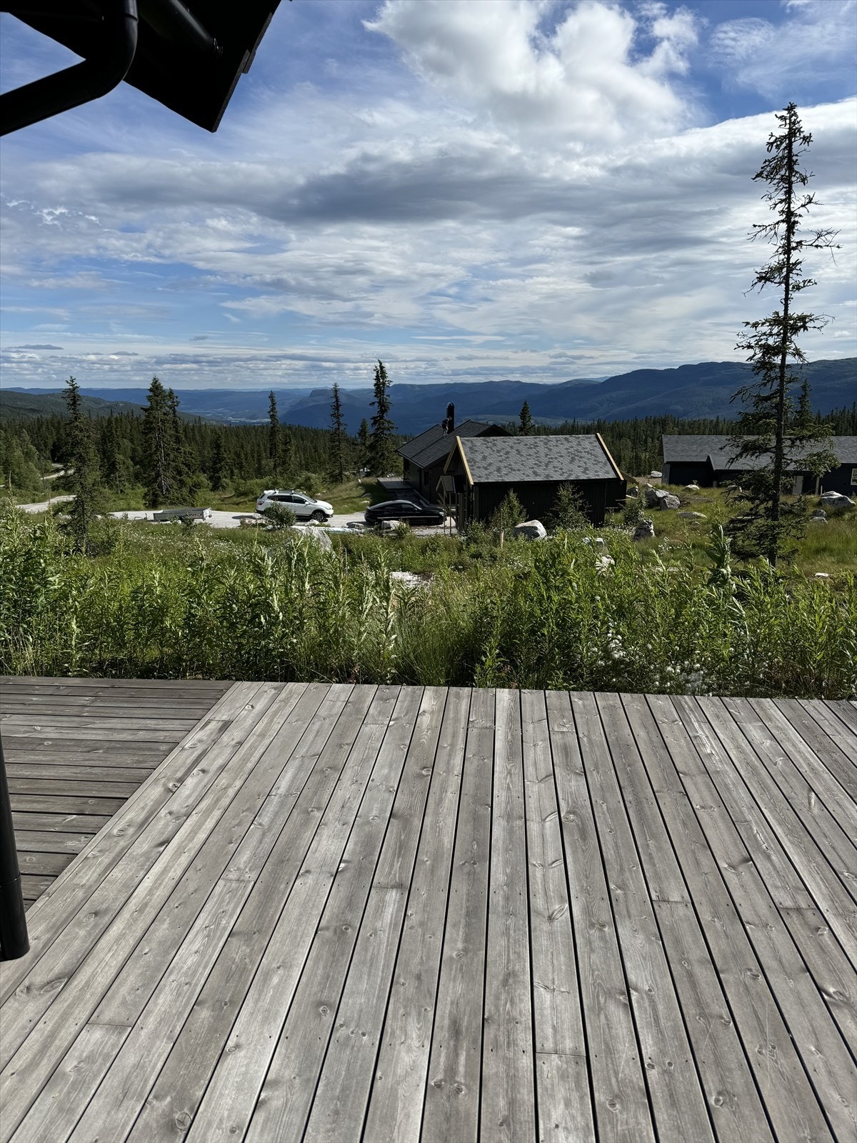 Selgers bilde. Galleribilde