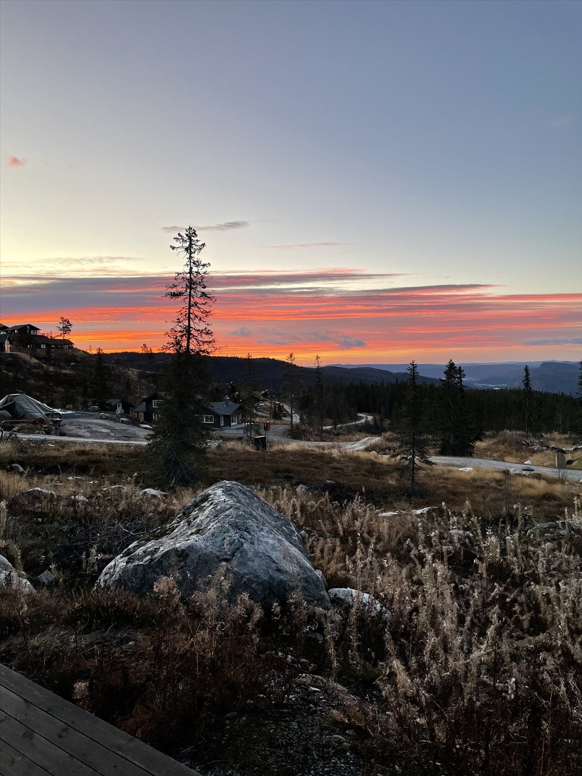 Selgers bilde. Galleribilde