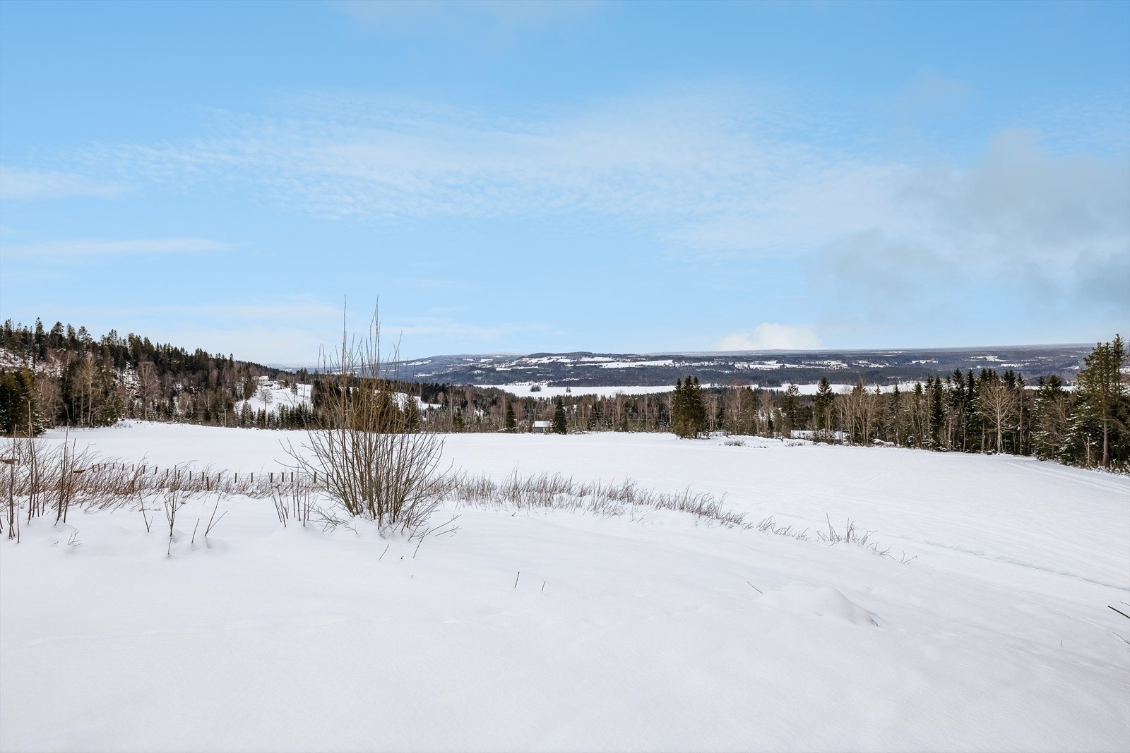 Her bor du med naturen som nærmeste nabo, samtidig som du har kort vei til alt du trenger i hverdagen i Næroset. Galleribilde