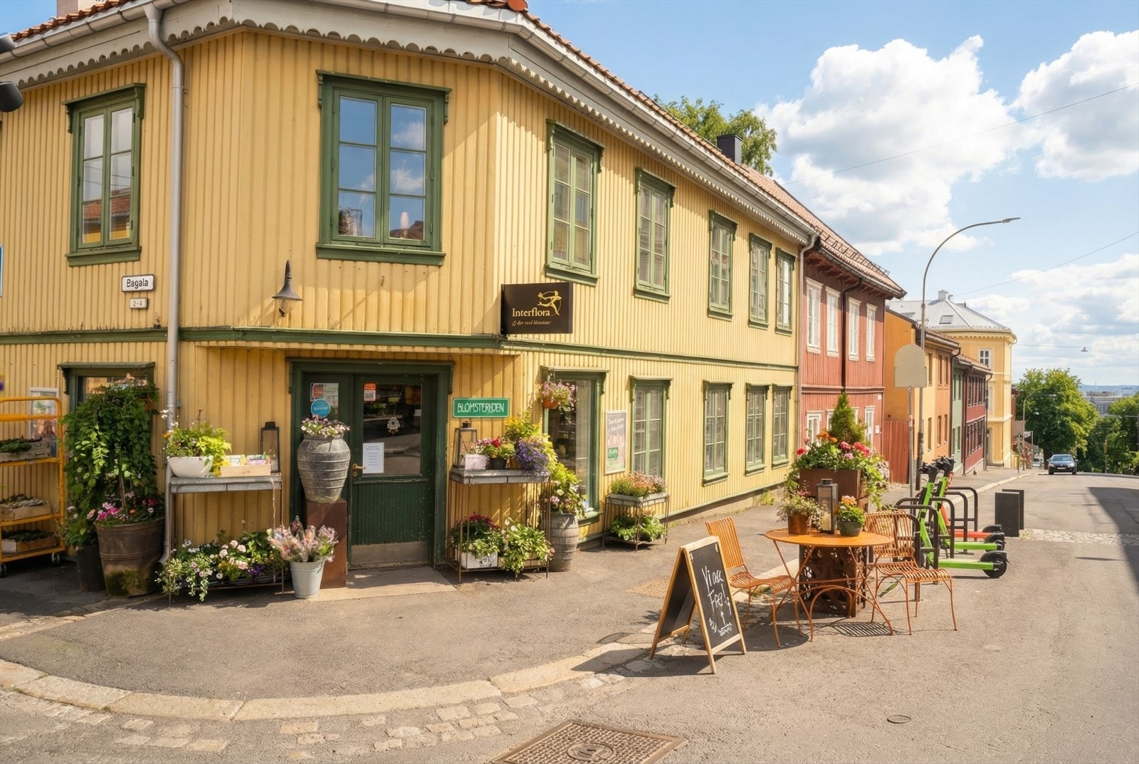 Fantastiske Blomsterenga er nærmeste nabo og byr på et godt utvalg av blomster og planter Galleribilde