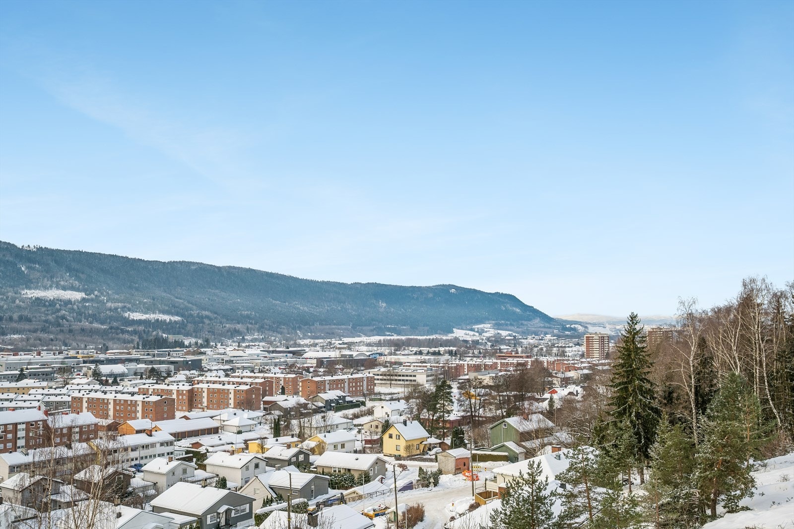 Utsikt over Drammen mot Eikerbygdene Galleribilde