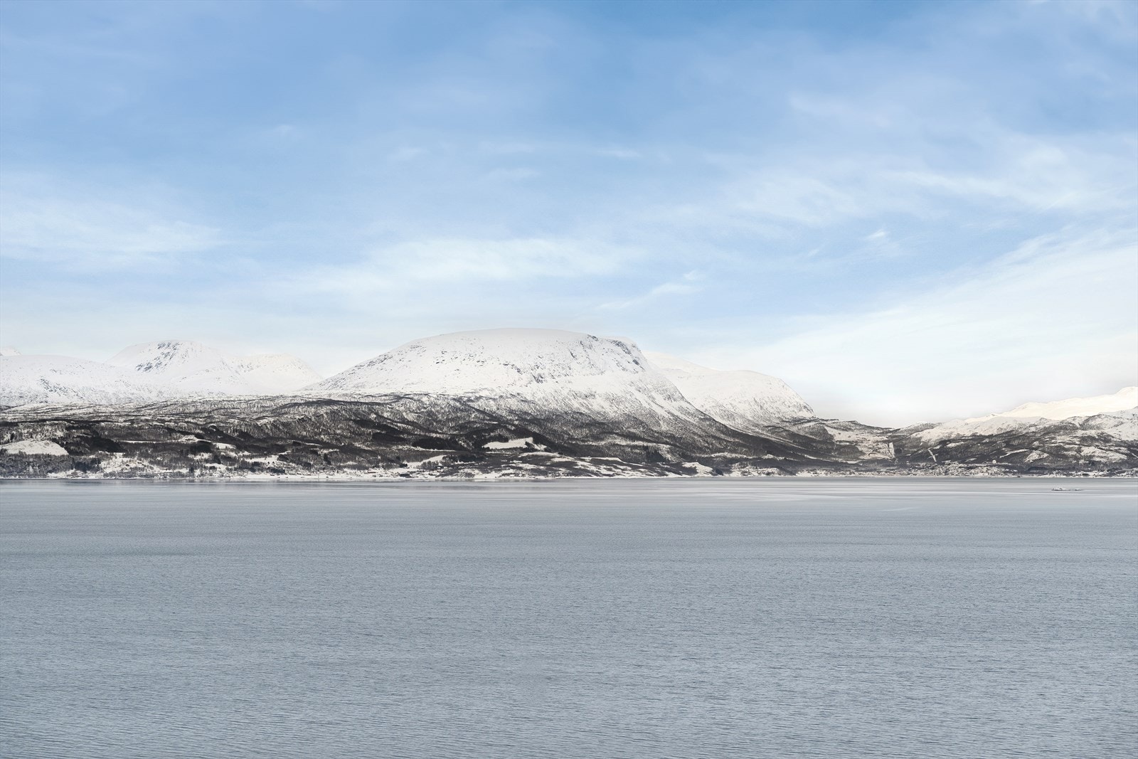 Legg merke til denne vakre utsikten utover Ofotfjorden, mot Herjangsfjellet og Bjerkvik Galleribilde