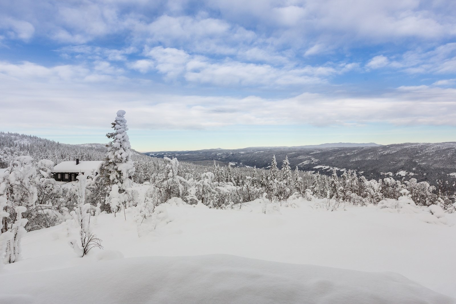 Solforholdene er gode, utsikten er vakker og barna kan leke i urørt snø! Nærmeste skiløype finner du ca. 100 m fra hyttetunet.. Galleribilde