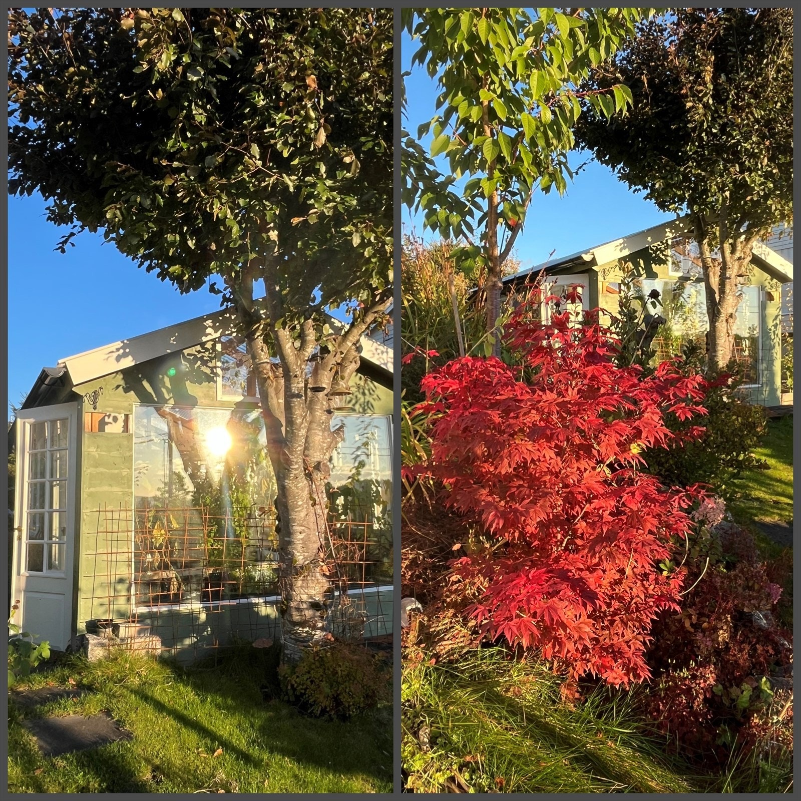 Et hyggelig drivhus, samt flere frukttrær og bærbusker skaper en god og koselig stemning ute i hagen. Her kan du dyrke masse grønne vekster! Galleribilde