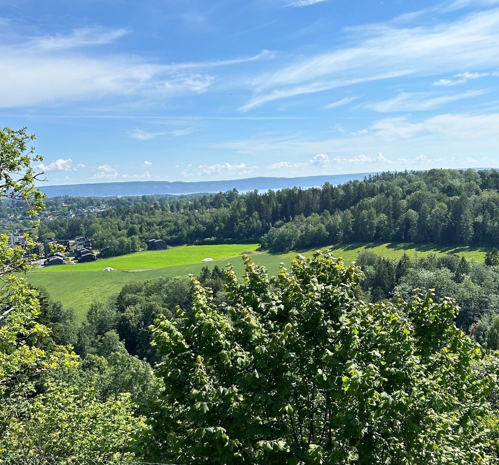 Utsikt terrasse sommer (privat bilde fra selger). Galleribilde