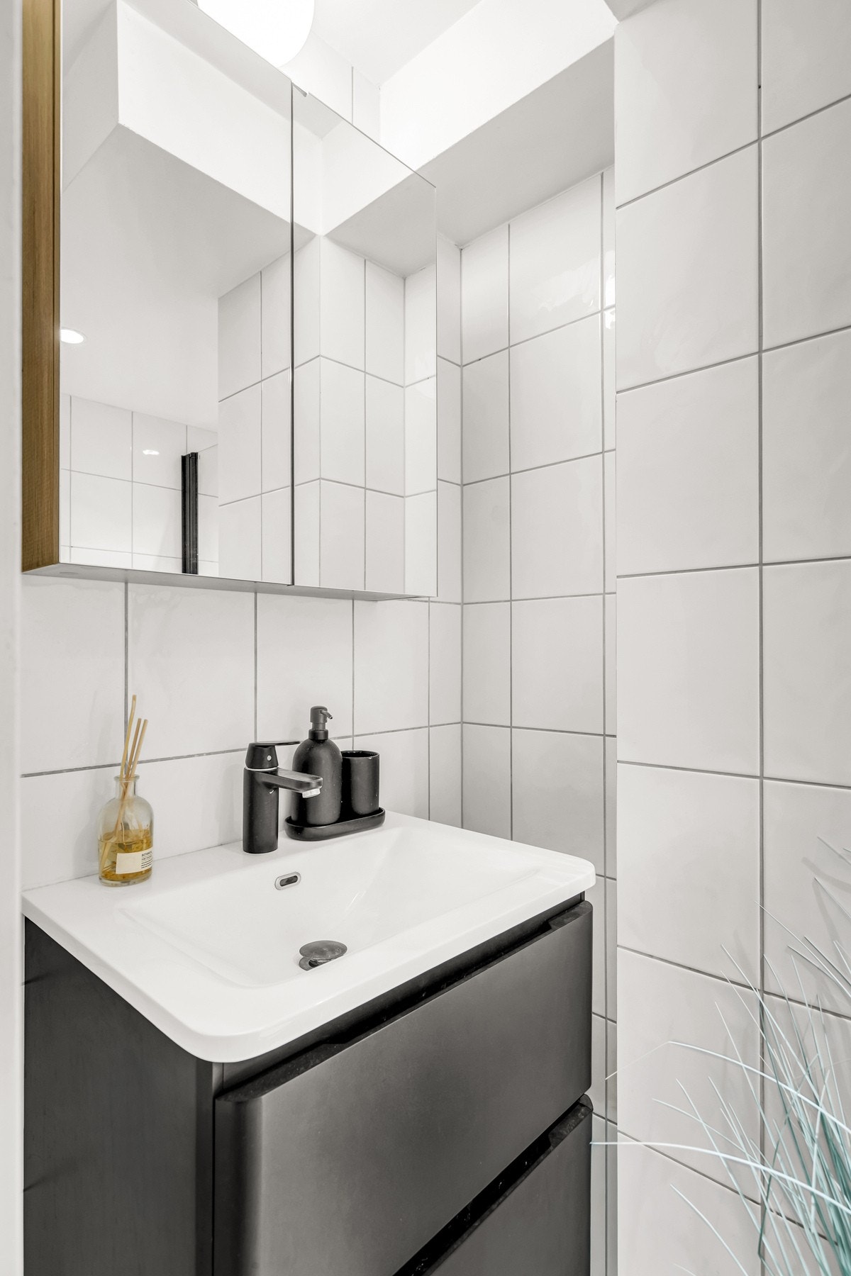 Servant med speil og underskap Galleribilde