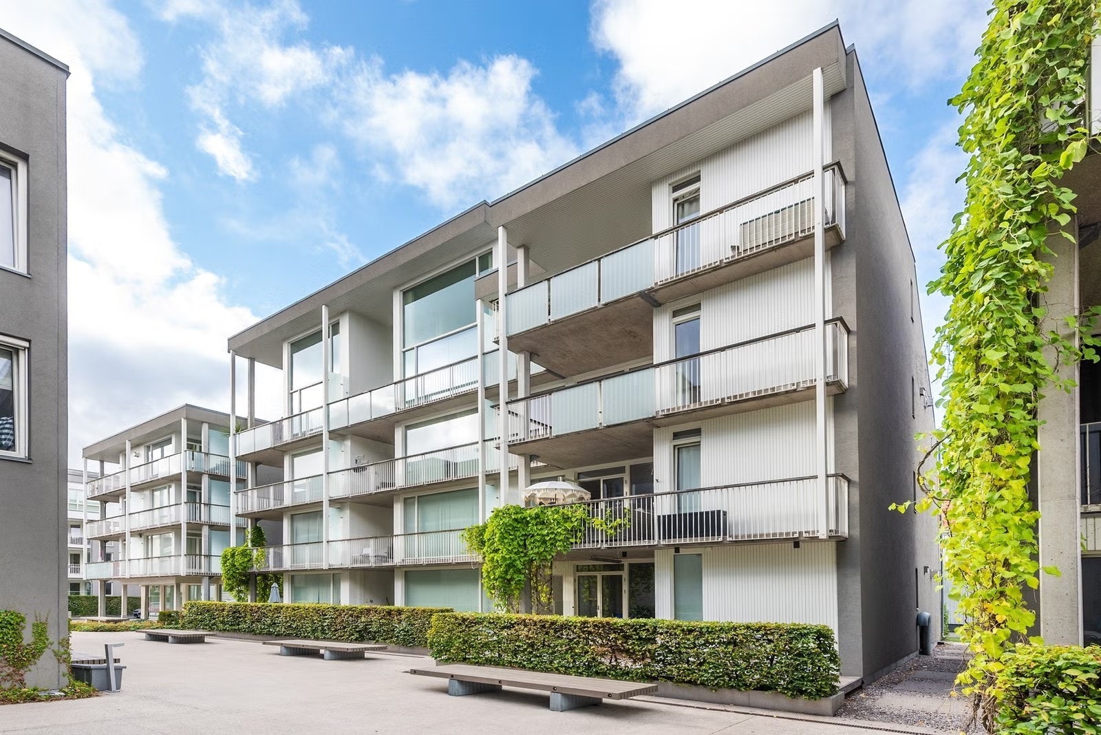 Velkommen til visning! Galleribilde