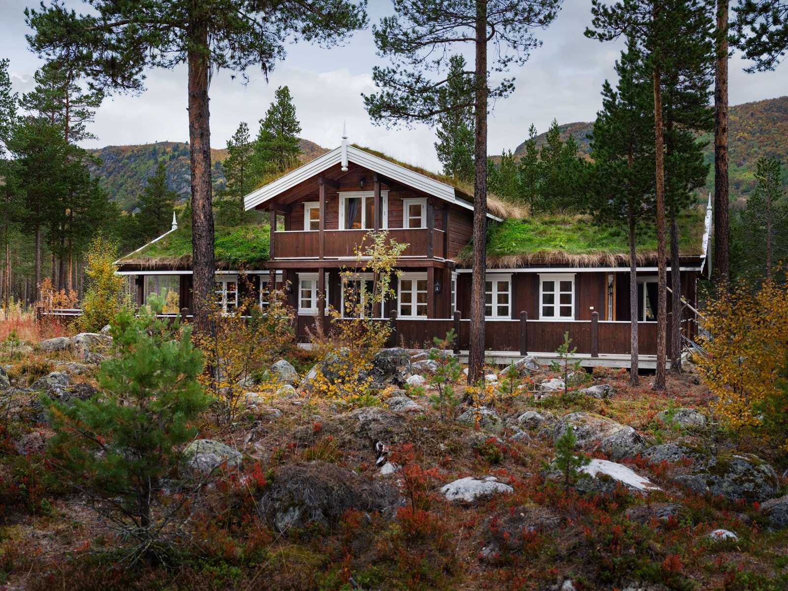 Blant skog og fjell, finner du denne koselige hytteperlen Galleribilde