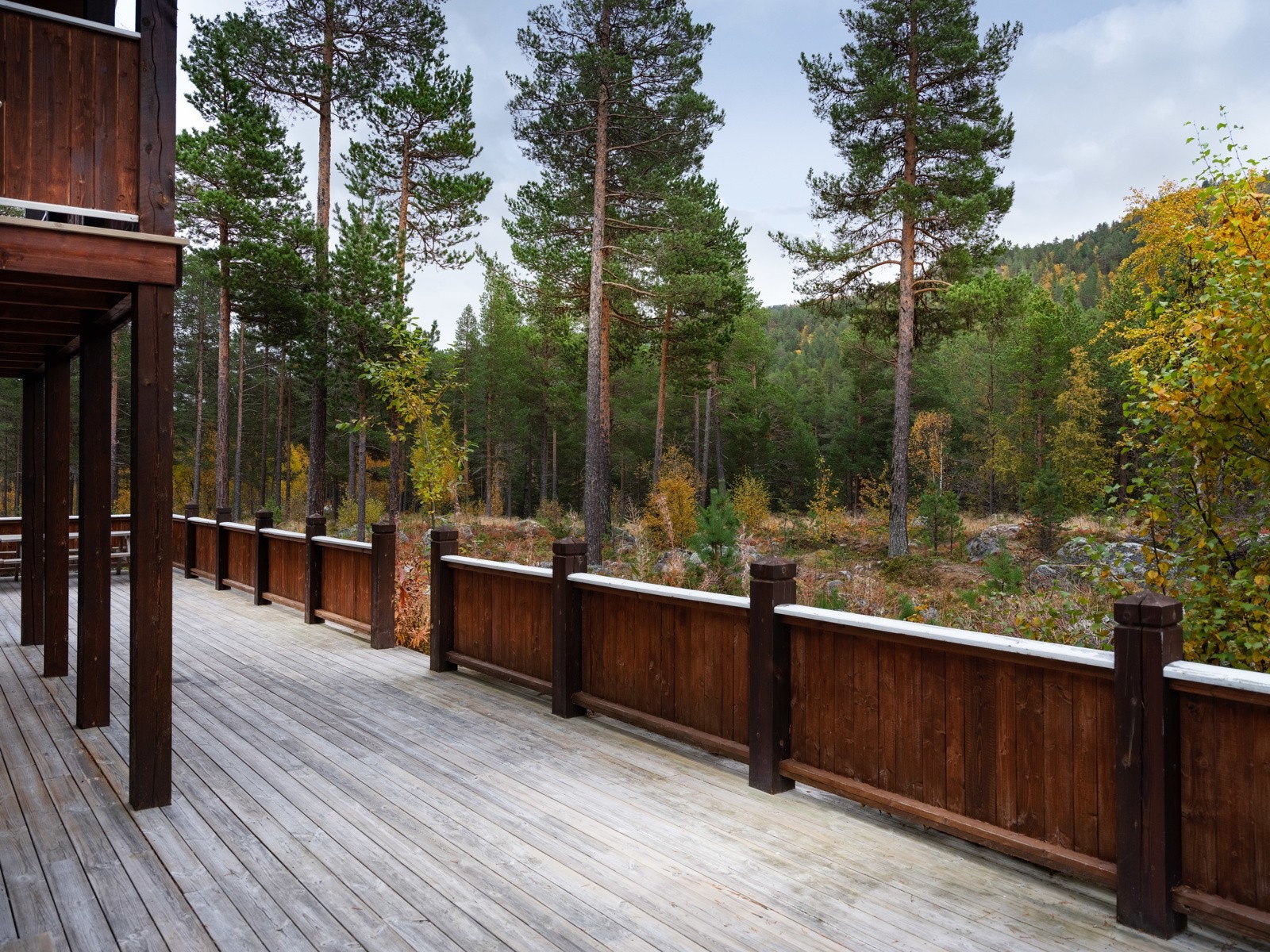 Her bor du tett på naturen Galleribilde