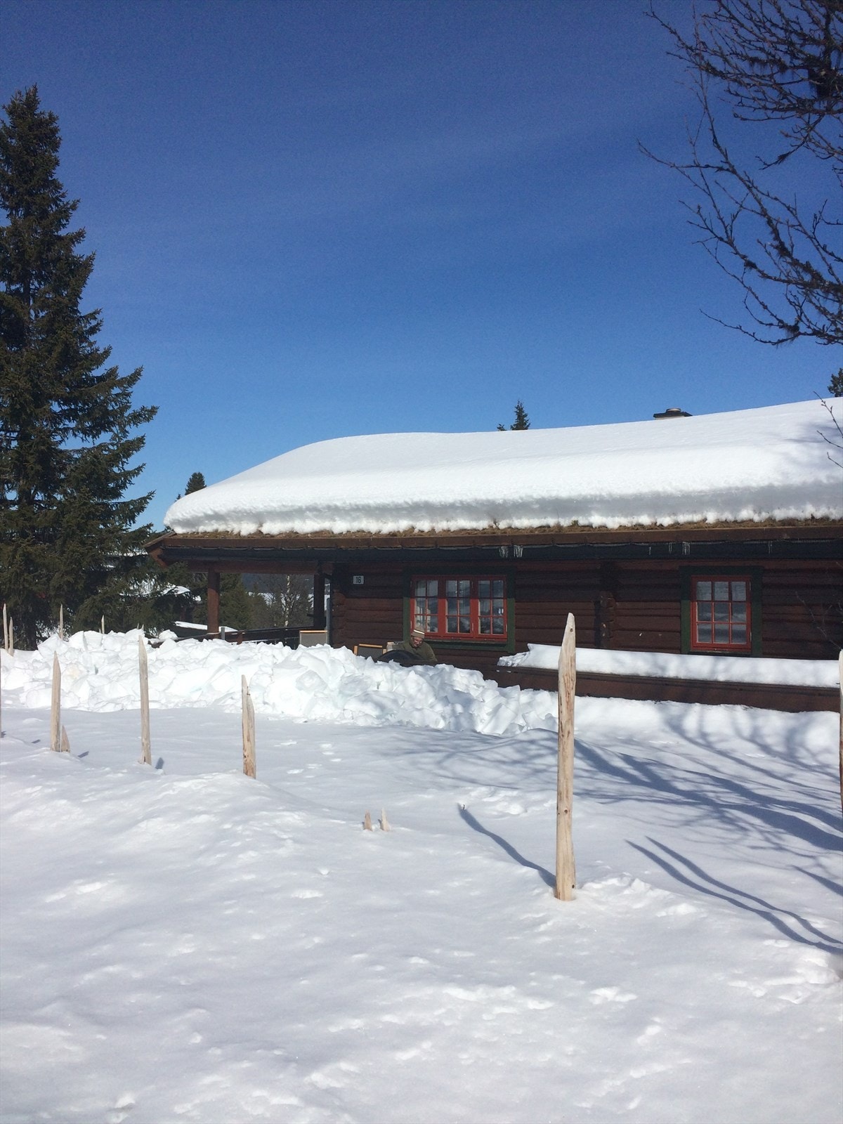 Vinteridyll med svært gode snøforhold! (selgers private bilde) Galleribilde