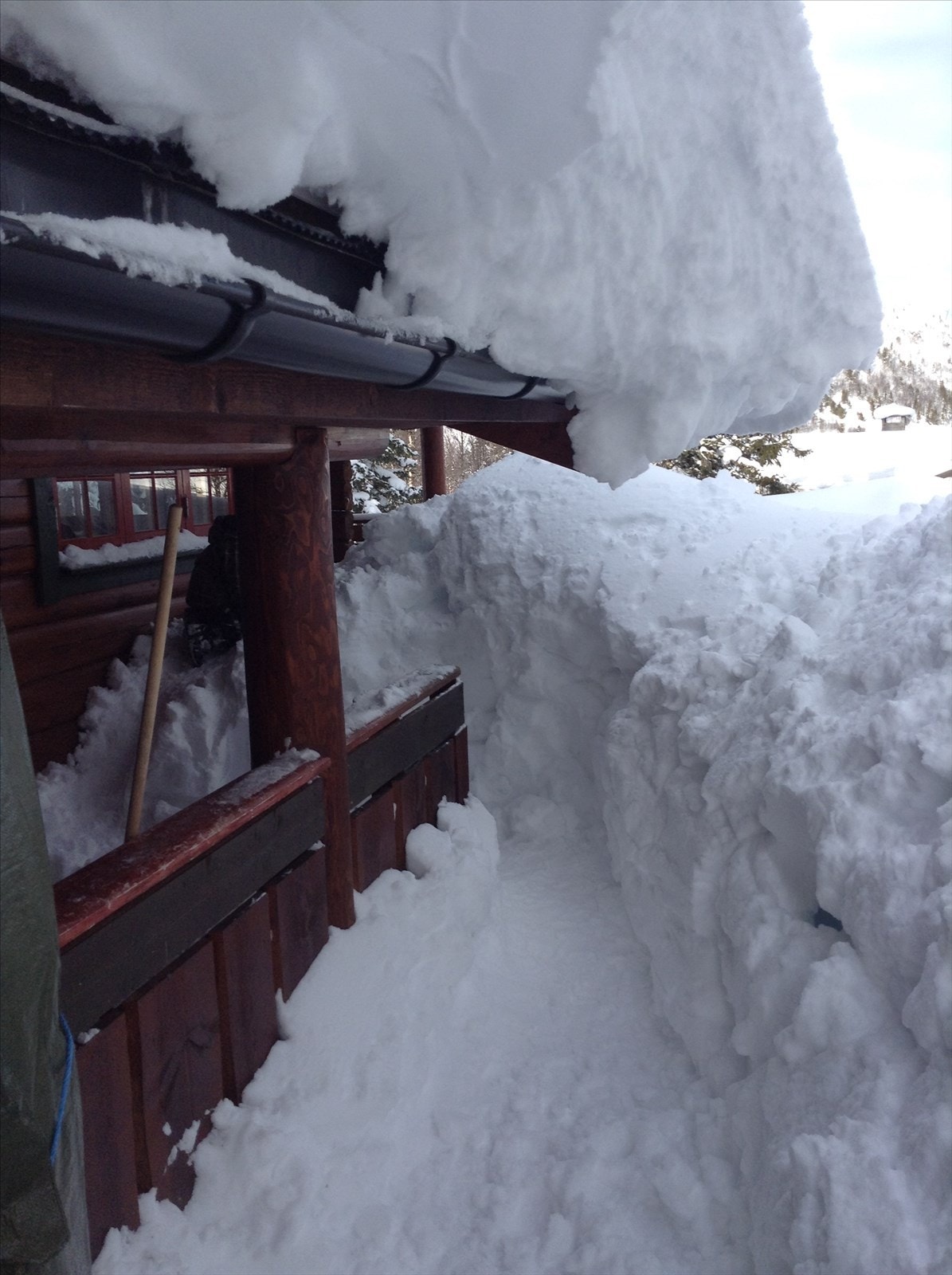 Ekte hyttefølelse. Galleribilde