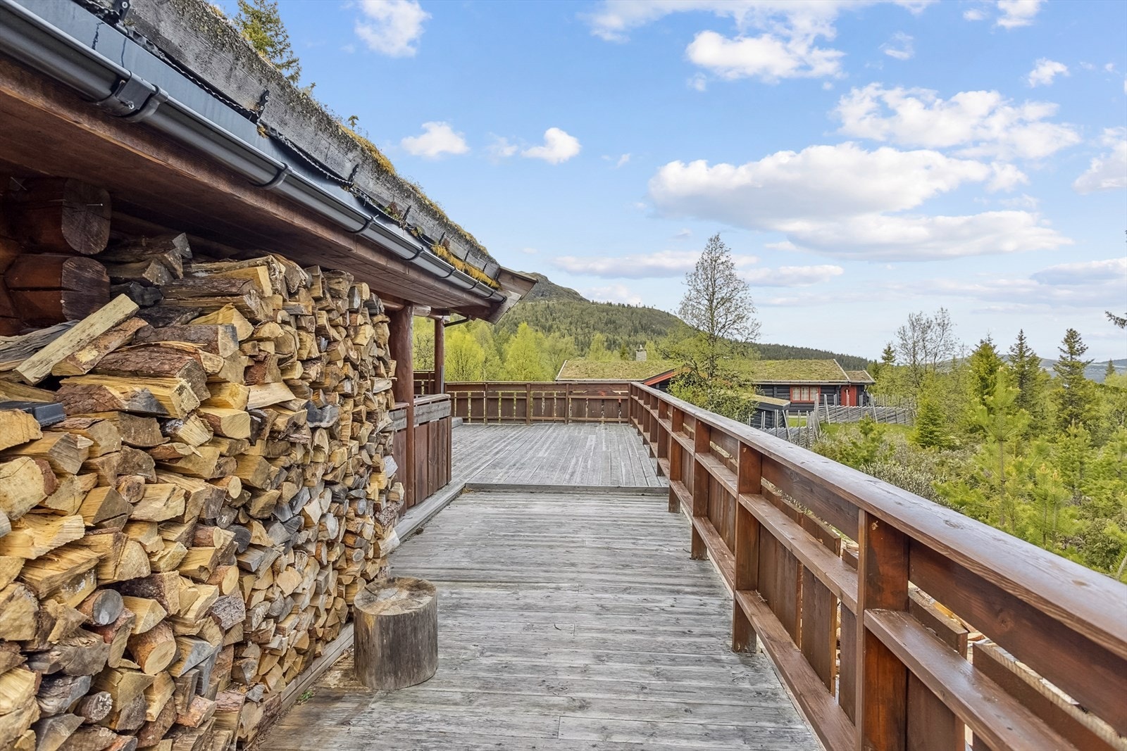 Utsyn fra terrassen. Galleribilde