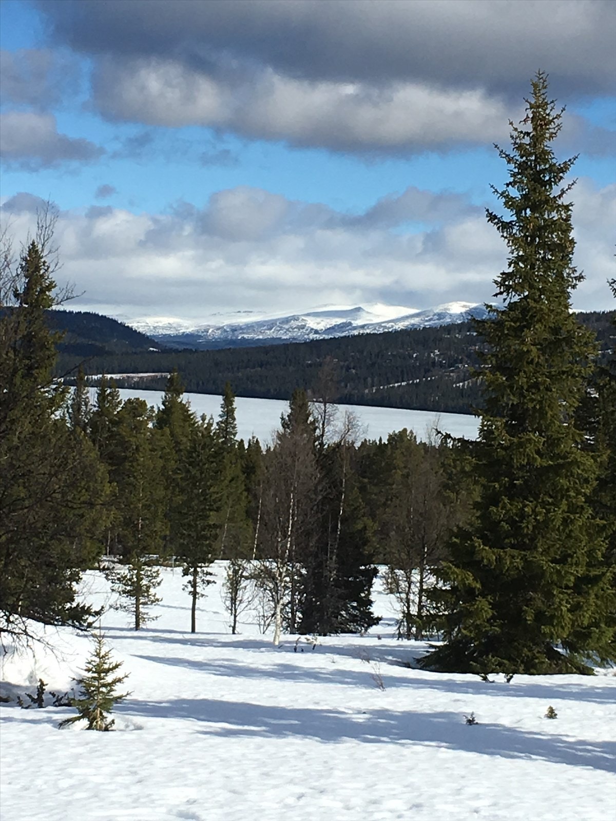 Utsikt fra hytta. Galleribilde