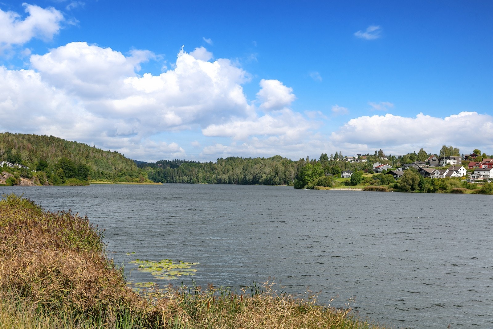 Gjellumvannet Galleribilde