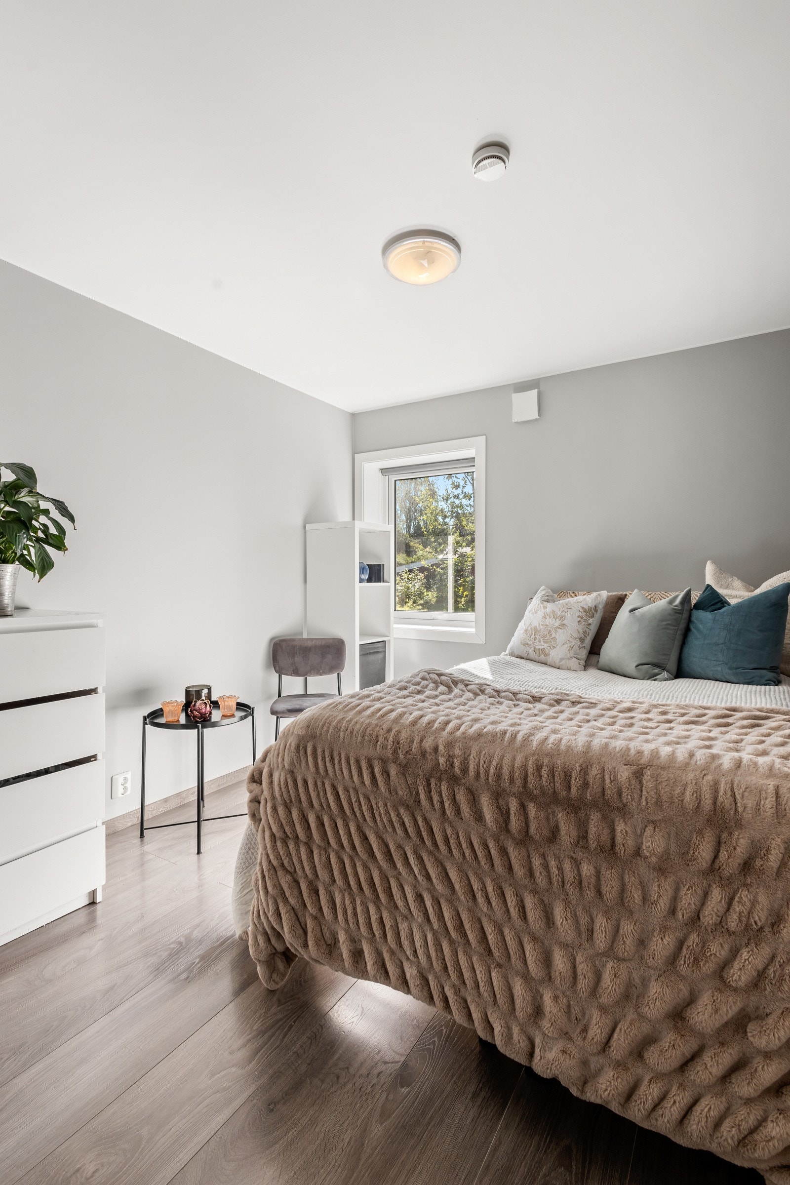 Hovesoverom Galleribilde