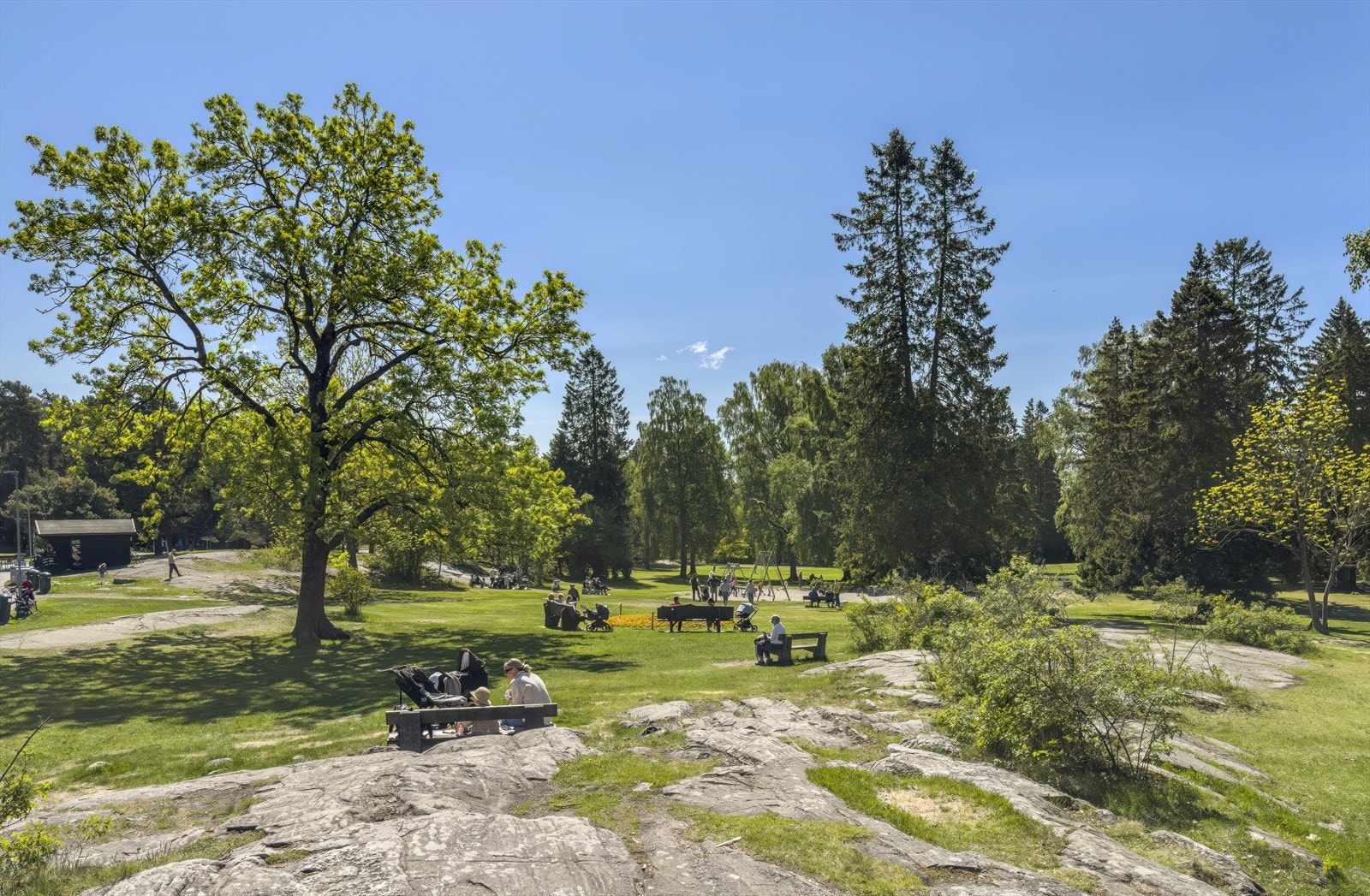 EKT har et rikt dyreliv og store grøntområder for lek og samvær. Galleribilde