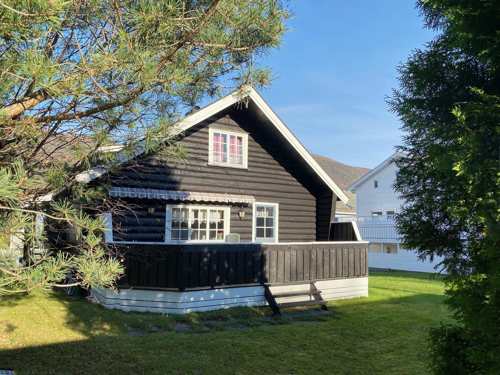 Sommerbilde Galleribilde